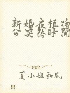 新婚夜植物人老公突然睁开眼