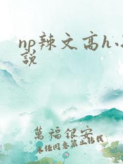 np辣文高h小说