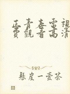 正青春电视剧免费观看高清