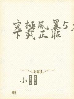 究极风暴5免费下载正版