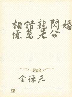 相错亲闪婚嫁给亿万老公