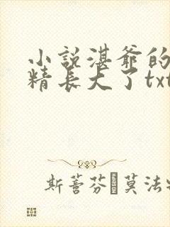 小说湛爷的小妖精长大了txt