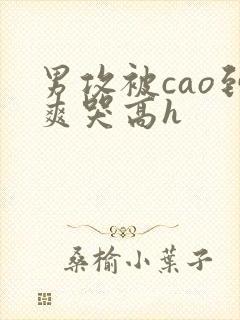 男攻被cao到爽哭高h