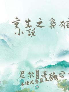重生之枭雄崛起 小说