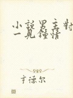 小说男主对女主一见钟情