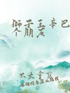 狮子王辛巴的三个朋友