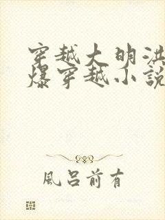 穿越大明洪武自爆穿越小说