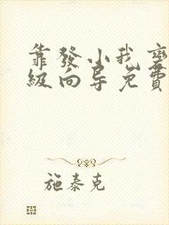 靠发小我变身顶级向导免费阅读