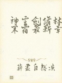 神霄剑修林枫冷寒霜最新章节