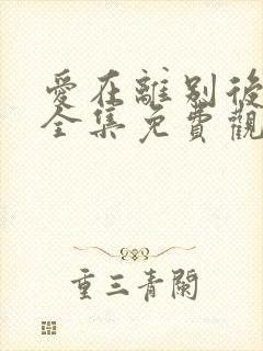 爱在离别后短剧全集免费观看