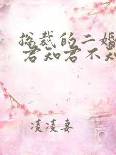 总裁的二婚老婆 君知君不知