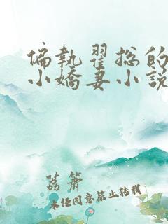 偏执翟总的重生小娇妻小说