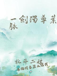 一剑独尊叶玄血脉