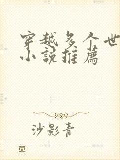 穿越多个世界的小说推荐