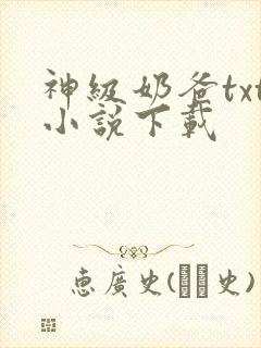 神级奶爸txt小说下载