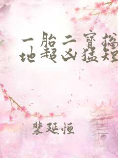 一胎二宝总裁爹地超凶猛短剧