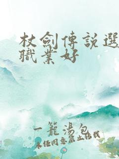 杖剑传说选哪个职业好