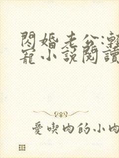 闪婚老公:轻点宠小说阅读全部