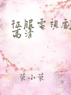 征服电视剧全集高清