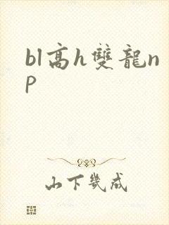 bl高h双龙np