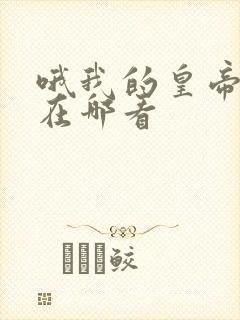 哦我的皇帝陛下在哪看