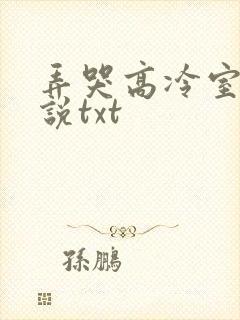 弄哭高冷室友小说txt
