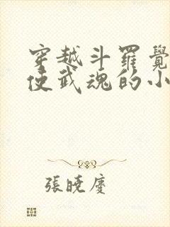 穿越斗罗觉醒天使武魂的小说