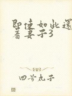 即使如此还是爱着妻子3