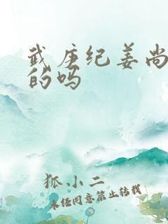 武庚纪姜尚是坏的吗