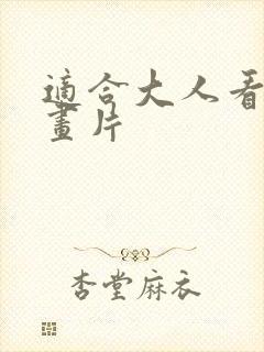 适合大人看的动画片