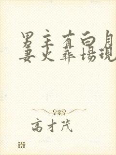 男主有白月光追妻火葬场现言