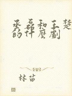 丞磊和王楚然演的什么剧