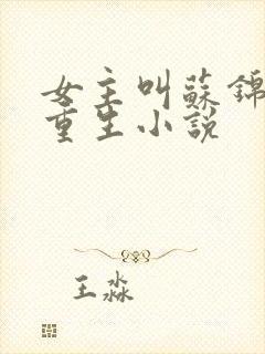 女主叫苏锦瑶的重生小说