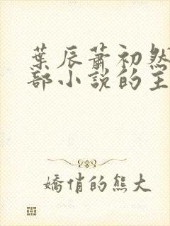 叶辰萧初然是哪部小说的主角