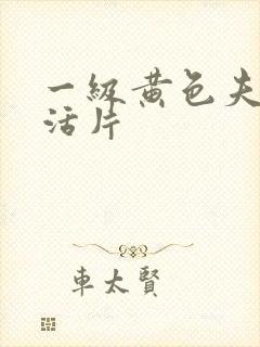 一级黄色夫妻生活片