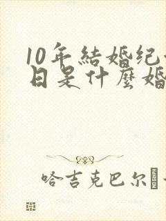 10年结婚纪念日是什么婚