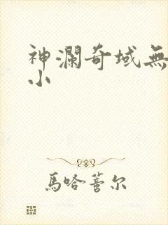 神澜奇域无双珠小