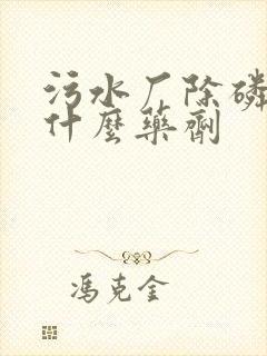 污水厂除磷剂是什么药剂