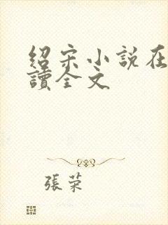 绍宋小说在线阅读全文