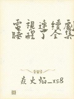 电视连续剧爱情睡醒了全集