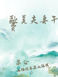 欧美夫妻午夜免费