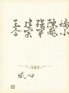 王建强陈娇娇和合宗穿越小说笔趣阁