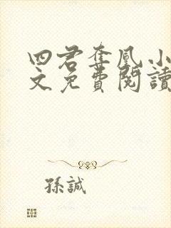 四君夺凰小说全文免费阅读