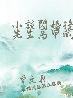 小说闪婚后,傅先生马甲藏不住完整版