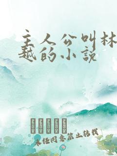 主人公叫林枫穿越的小说