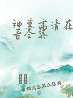 神墓高清在线观看全集