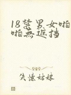 18禁男女啪啪啪无遮挡