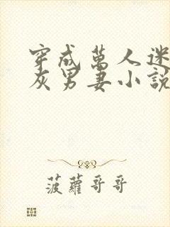 穿成万人迷的炮灰男妻小说