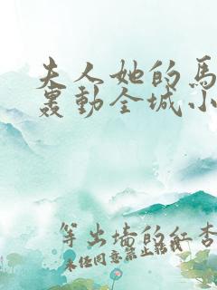 夫人她的马甲又轰动全城小说免费