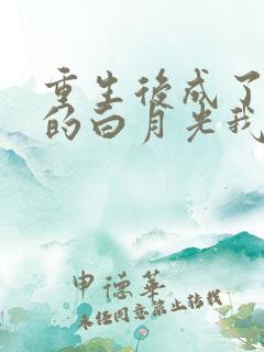 重生后成了皇帝的白月光我见青山